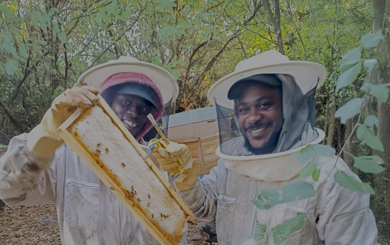 Jardins-de-Mel-apicultura-Angola-1